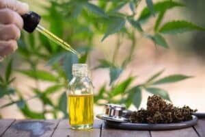 Benefits Of CBD Oil